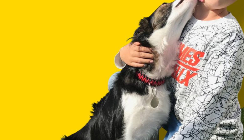 dog and boy